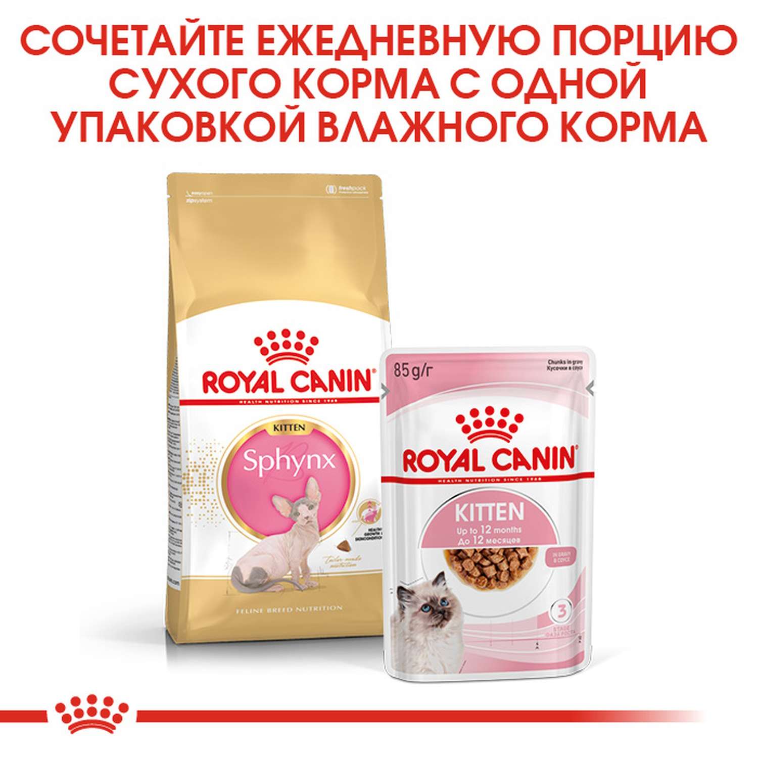 Корм сухой для котят ROYAL CANIN Kitten Sphynx 2кг