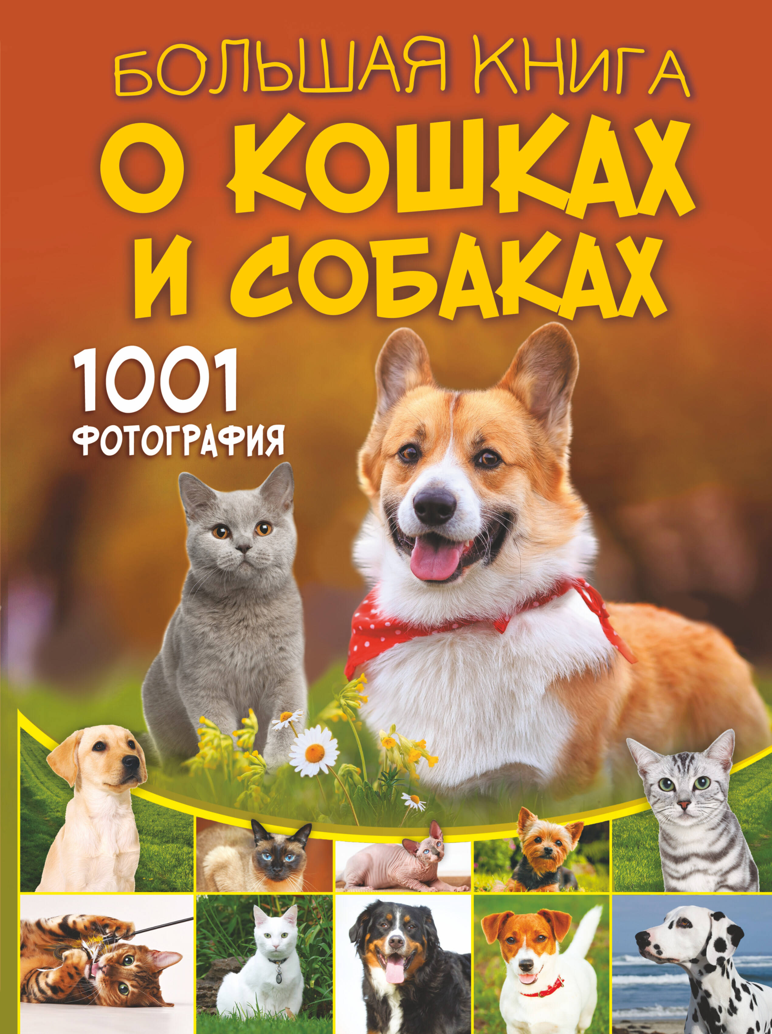 Книга АСТ Большая книга о кошках и собаках 1001 фотография - фото 1