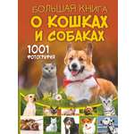 Книга АСТ Большая книга о кошках и собаках 1001 фотография