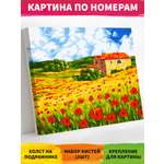 Картина по номерам Русская живопись Набор для творчества A091 Поляна маков 40*50