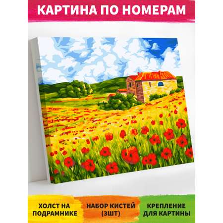 Картина по номерам Русская живопись Набор для творчества A091 Поляна маков 40*50