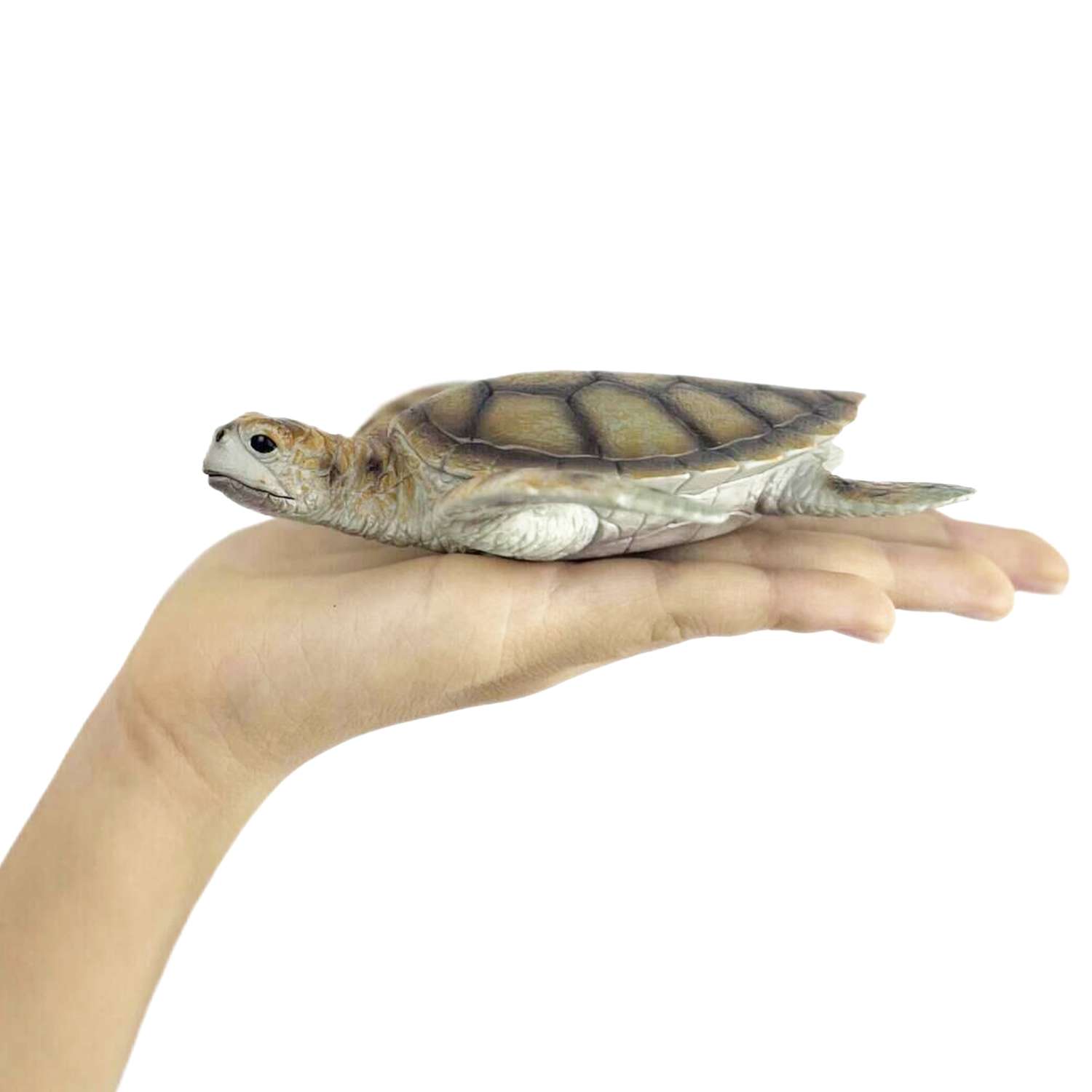 Фигурка животного Детское Время Кожистая черепаха - фото 6