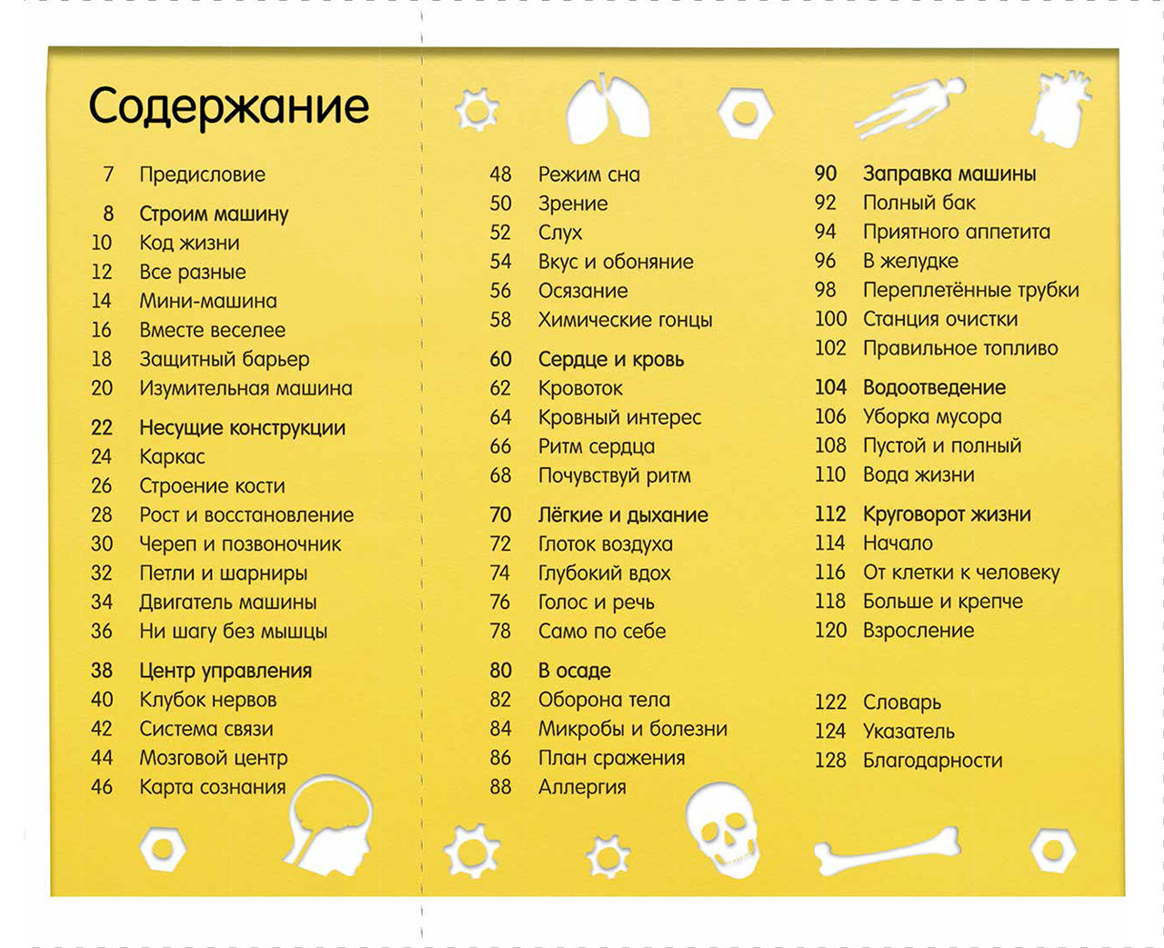 Книга Clever Издательство Как устроено тело человека. Красочный путеводитель по нашему организму - фото 7