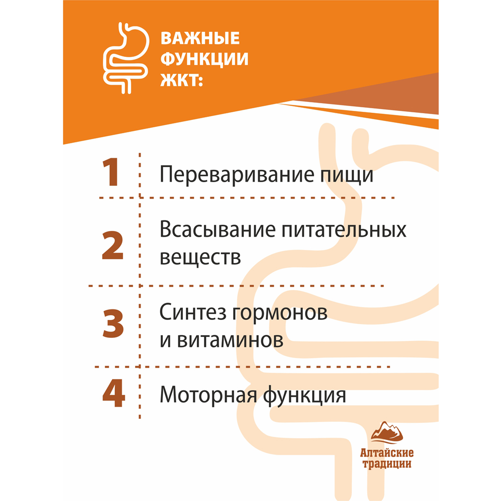 Концентрат пищевой Алтайские традиции Желудок и кишечник 60 капсул купить  по цене 1648 ₽ в интернет-магазине Детский мир