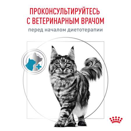 Сухой корм для кошек ROYAL CANIN Hypoallergenic 0.35 кг (при аллергии и заболеваниях кожи, полнорационный)