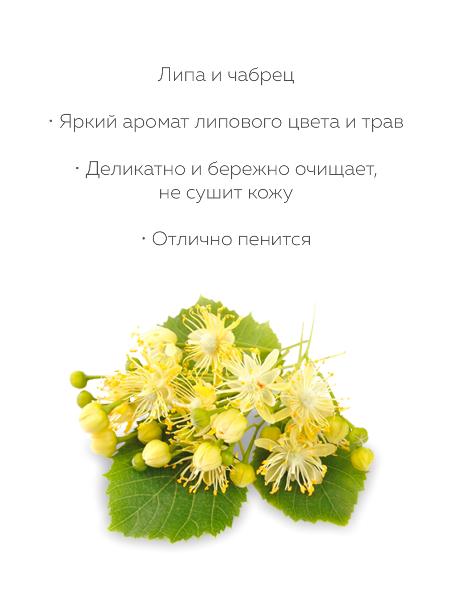 Гель для душа Marussia «Липа и чабрец» с экстрактами луговых трав 400 мл - фото 3