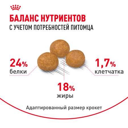 Корм для собак ROYAL CANIN миниатюрных пород 500г