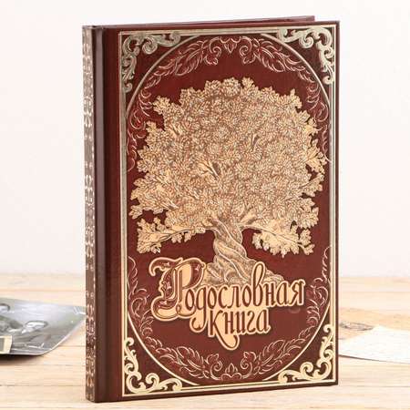 Родословная книга Sima-Land в шкатулке «Древо семьи» 56 листов 20 х 26 см
