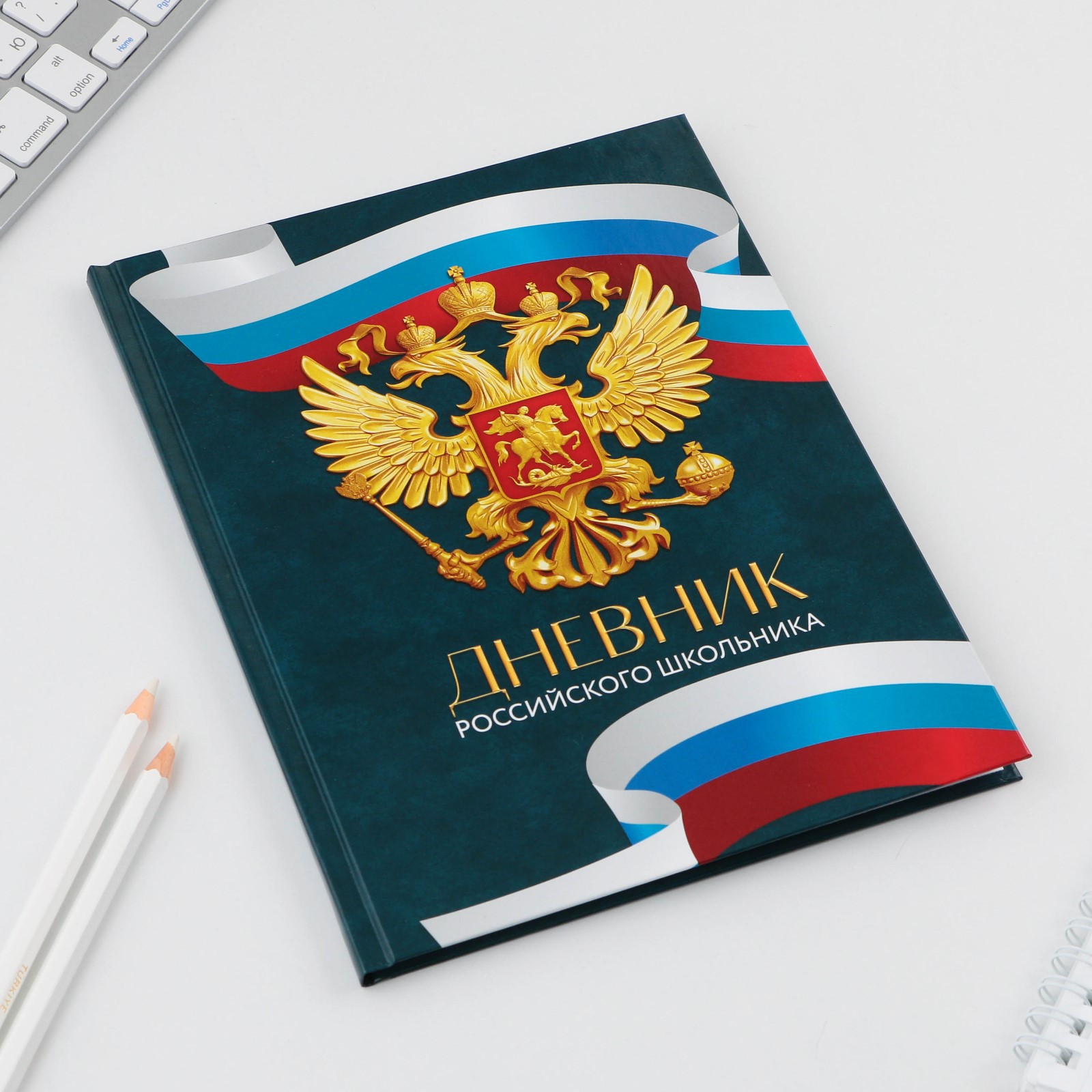 Дневник 1-4 класса ArtFox STUDY «1 сентября:Россия» твердая обложка 7БЦ глянцевая ламинация 48 листов - фото 2