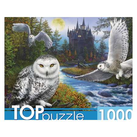 Пазл Рыжий кот TOPpuzzle 1000 элементов Магическая сова и замок