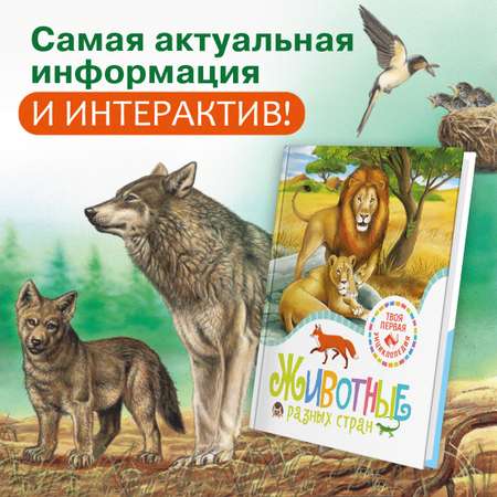 Книга Махаон Эмили Бомон. Животные разных стран