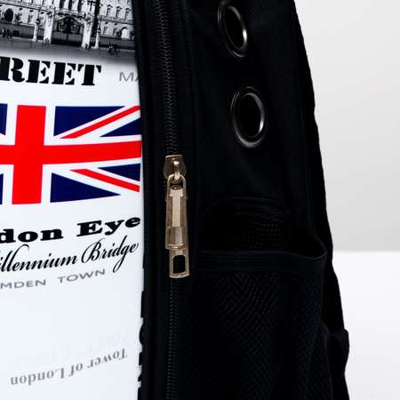 Рюкзак для переноски животных Пижон с окном для обзора «Лондон»