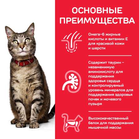 Корм сухой для кошек HILLS 10кг Science Plan с ягненком для поддержания жизненной энергии и иммунитета