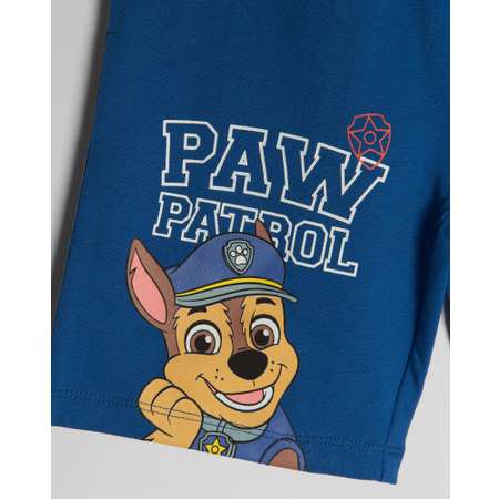 Шорты Paw Patrol