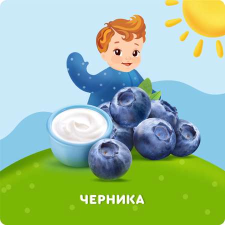 Творог фруктовый Агуша черника 3.9%100г с 6месяцев