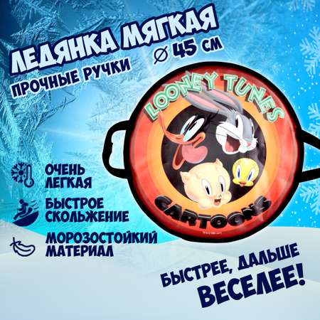 Ледянка мягкая Looney Tunes Looney Tunes 45 см круглая