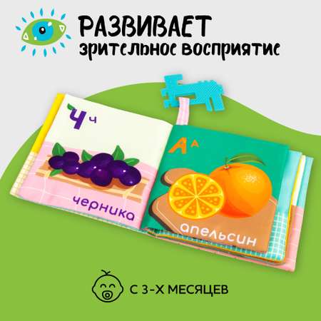 Книжка-игрушка с грызунком AmaroBaby Soft Book Ягоды и фрукты