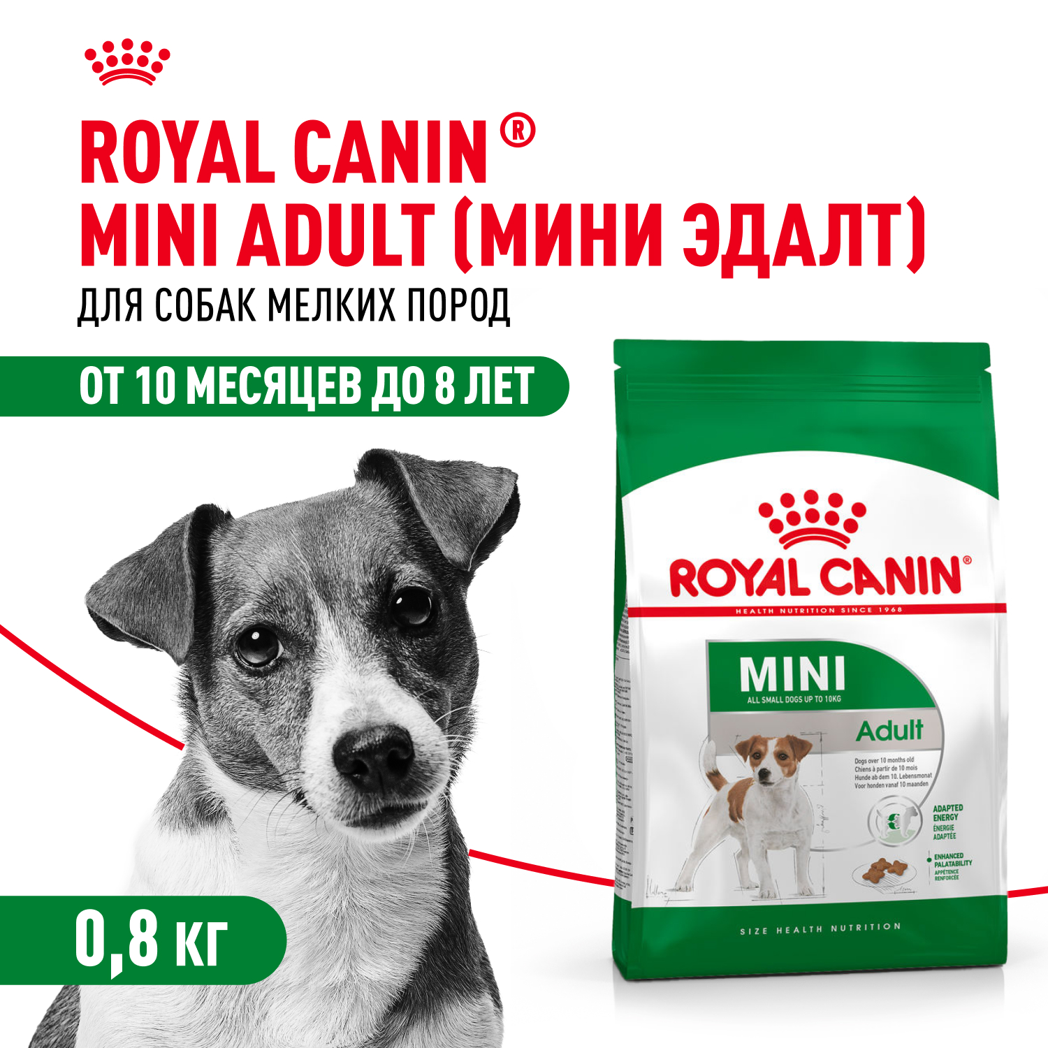 Сухой корм для собак ROYAL CANIN 0.8 кг (для вывода шерсти, полнорационный) - фото 1