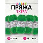 Пряжа Alize универсальная для вязания кардиганов игрушек Extra акрил 100 гр 220 м 5 мотков 328 трава