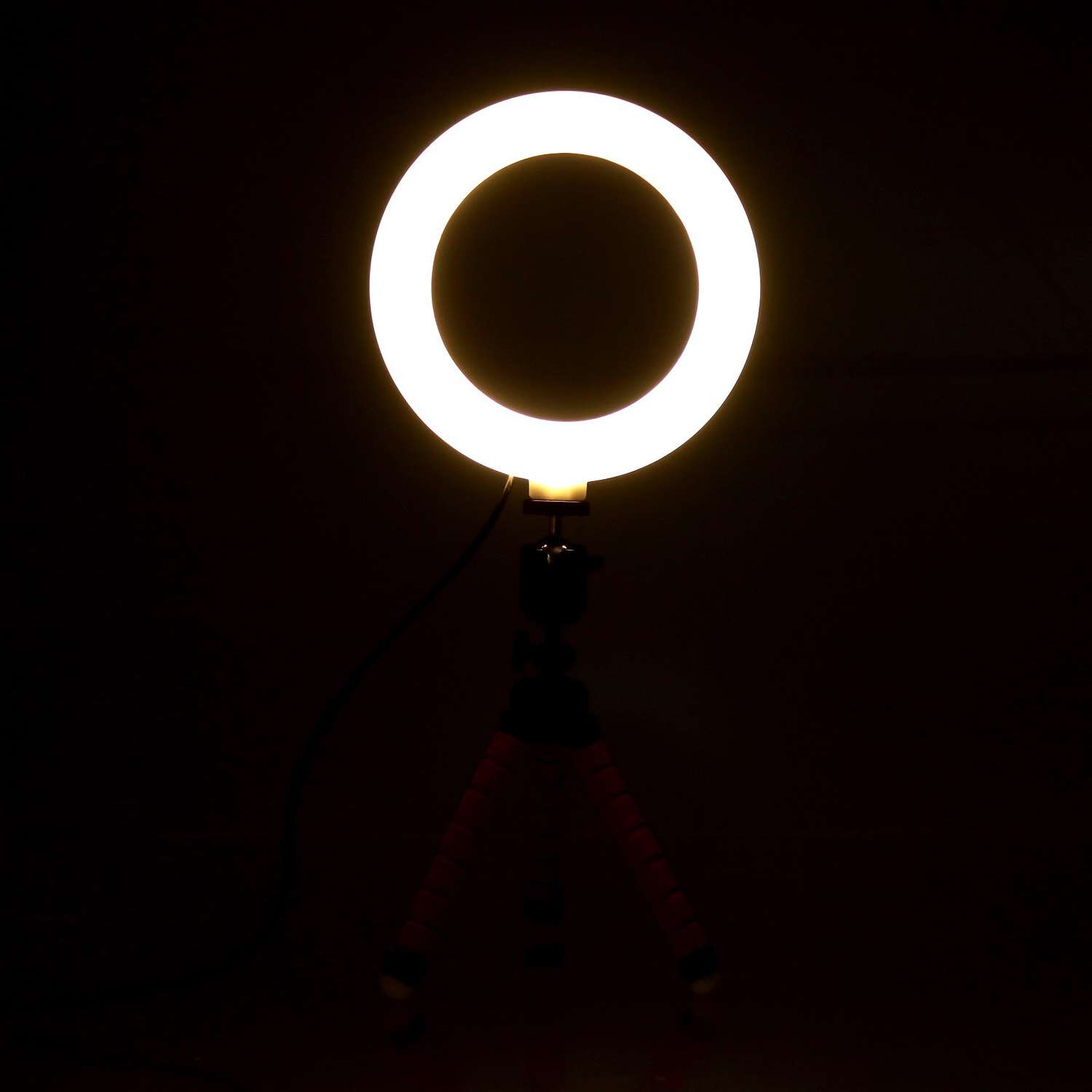 Кольцевая лампа Школа Талантов набор для съёмок видео - фото 11