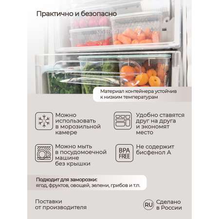 Контейнер Phibo для замораживания и хранения продуктов с декором Кристалл 1.7л светло-голубой