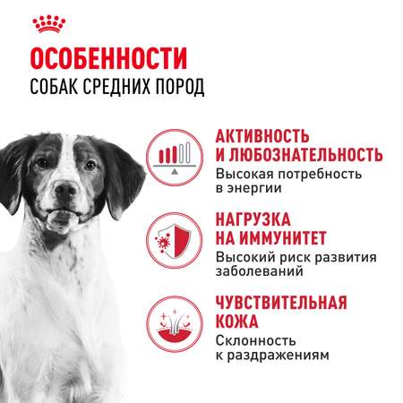 Корм для собак ROYAL CANIN средних пород 15кг