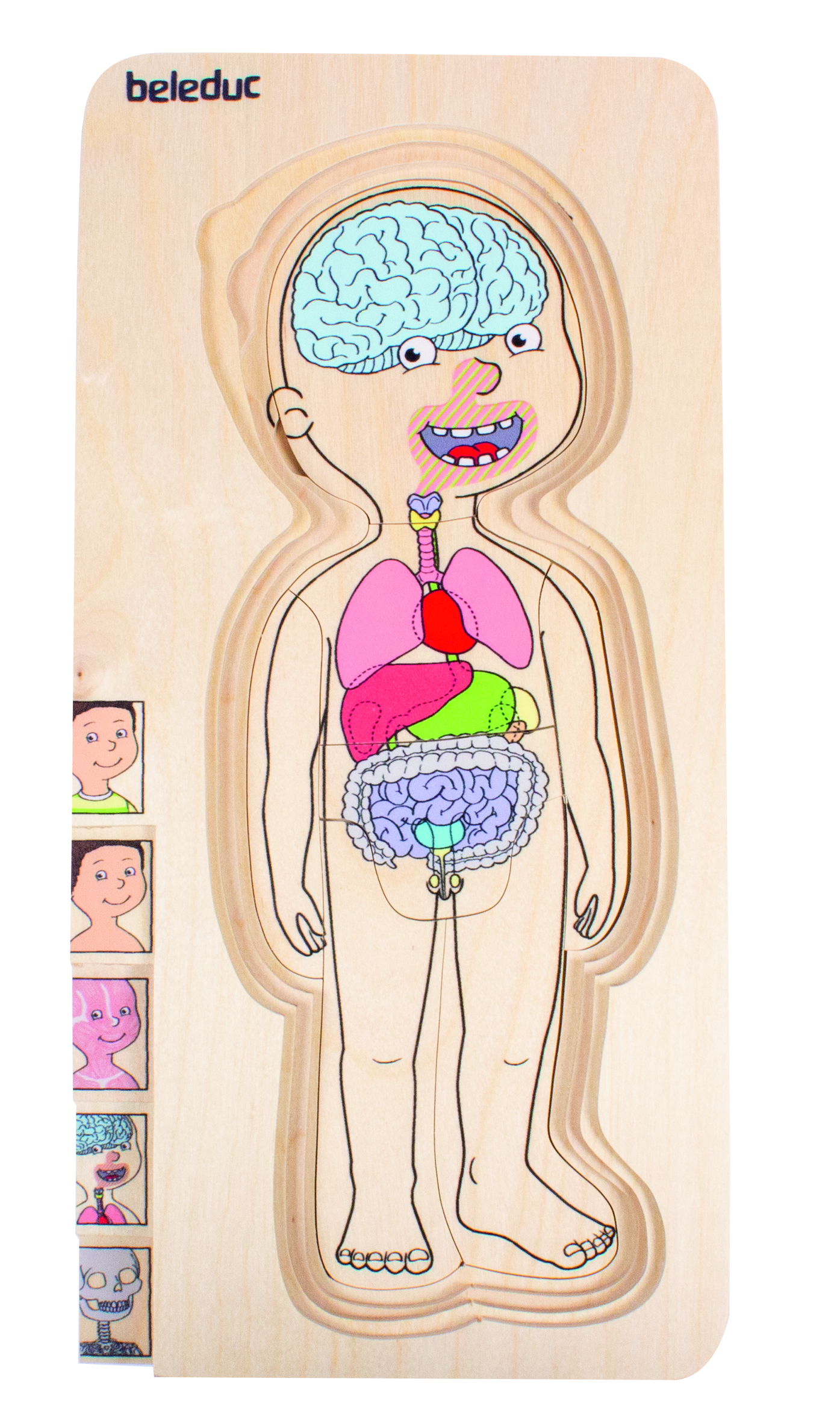 Многослойный деревянный пазл BELEDUC Изучаем тело Мальчик - фото 8