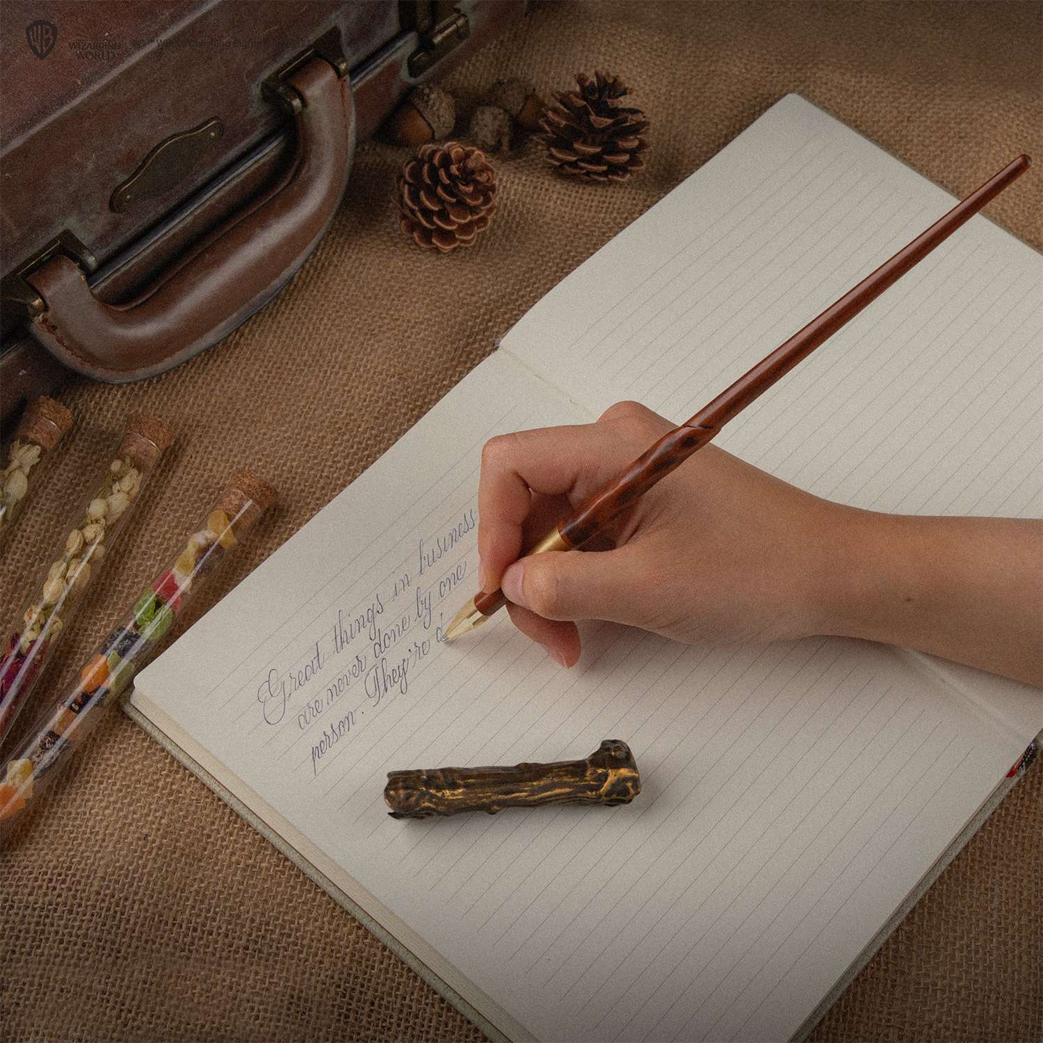 Ручка Harry Potter в виде палочки Гарри Поттера 25 см с подставкой и закладкой - фото 8