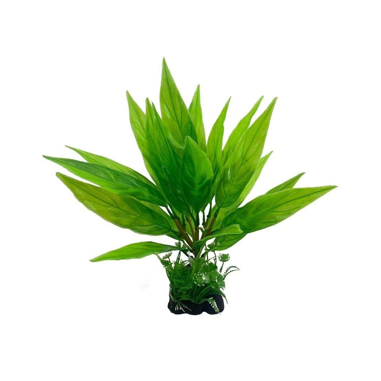 Аквариумное растение Rabizy Водоросли 26х26х28 см - фото 1
