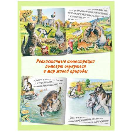 Комплект книг Фламинго Сказки для детей Рассказы о животных Приключения Котенка Волчонка Зайчонка Жеребенка