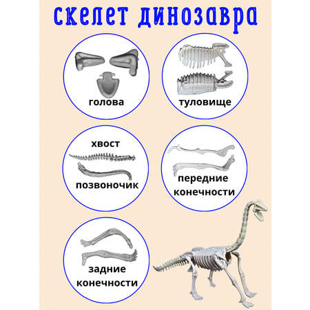 Динозавры опыты раскопки эксперименты VSEVERA Натуральные камни минералы самоцветы песок