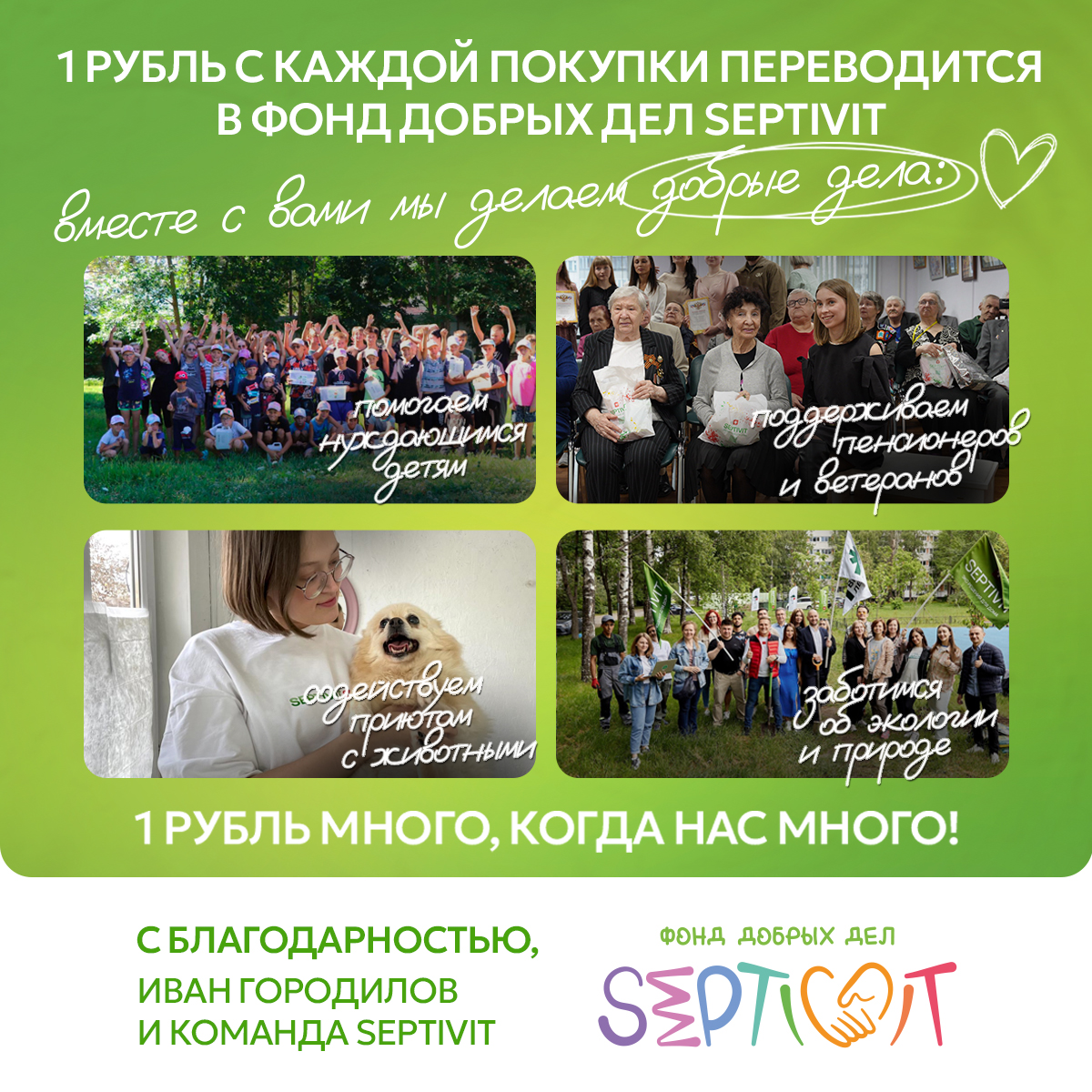 Шампунь для кошек SEPTIVIT Premium 1 л - фото 14