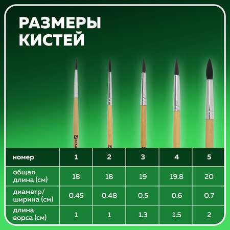 Кисти Brauberg 5 шт блистер