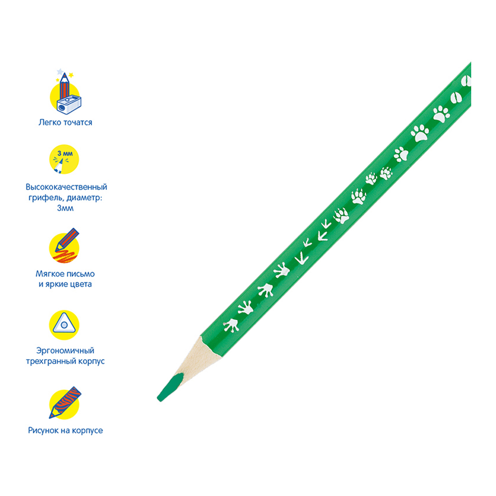 Набор карандашей цветных Мульти Пульти Енот-следопыт 12 цветов трехгранных рисунок на корпусе - фото 5