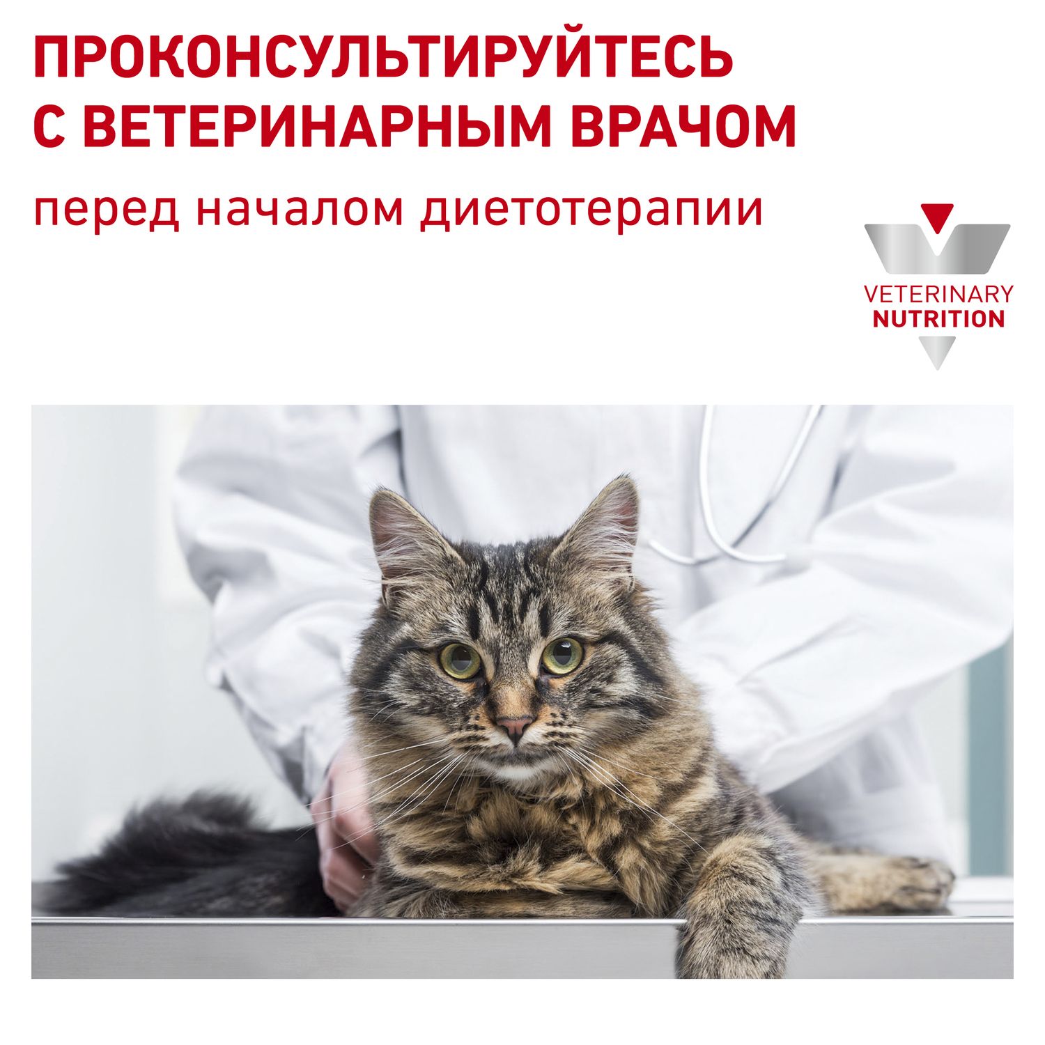 Корм для кошек ROYAL CANIN Diabetic при сахарном диабете пауч 85г - фото 9
