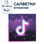 Салфетки бумажные Riota двухслойные Блогер Party 33 см 12 шт