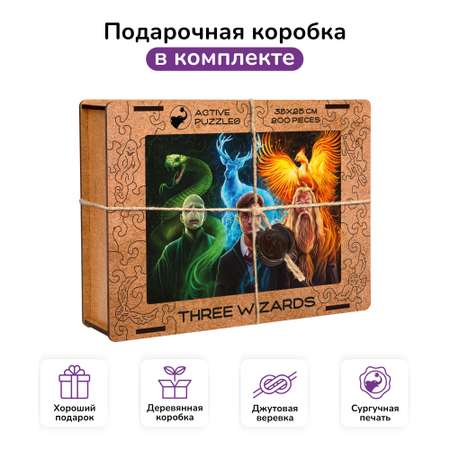 Пазл фигурный деревянный Active Puzzles Гарри Поттер. Три Волшебника