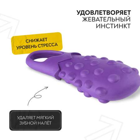 Игрушка для собак Mr.Kranch Баклажан с ароматом сливок 17см Фиолетовая