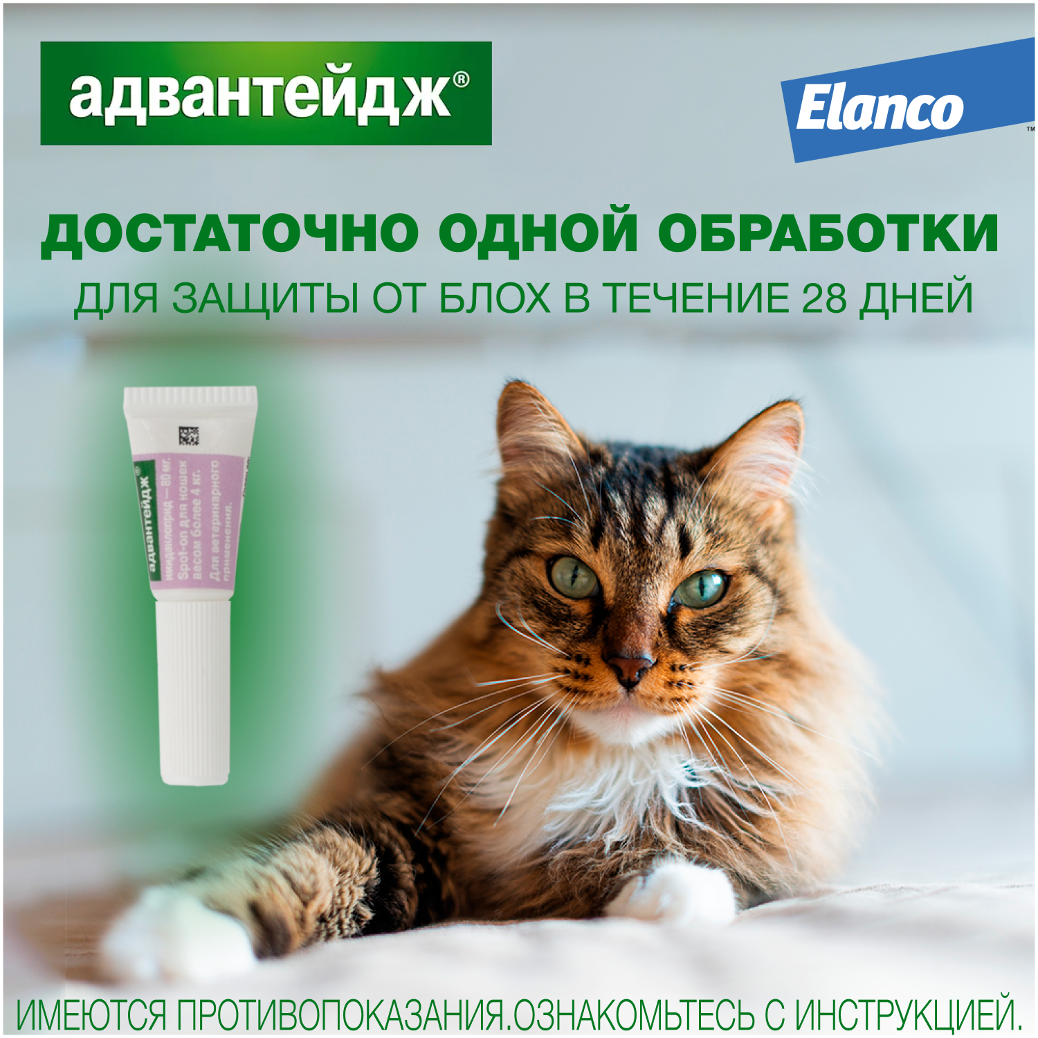 Капли для кошек Elanco Адвантейдж против блох 1пипетка - фото 5