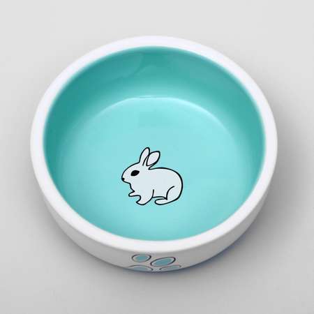 Миска Пижон керамическая для кроликов 10х3.7 см бело-зеленая 290 мл