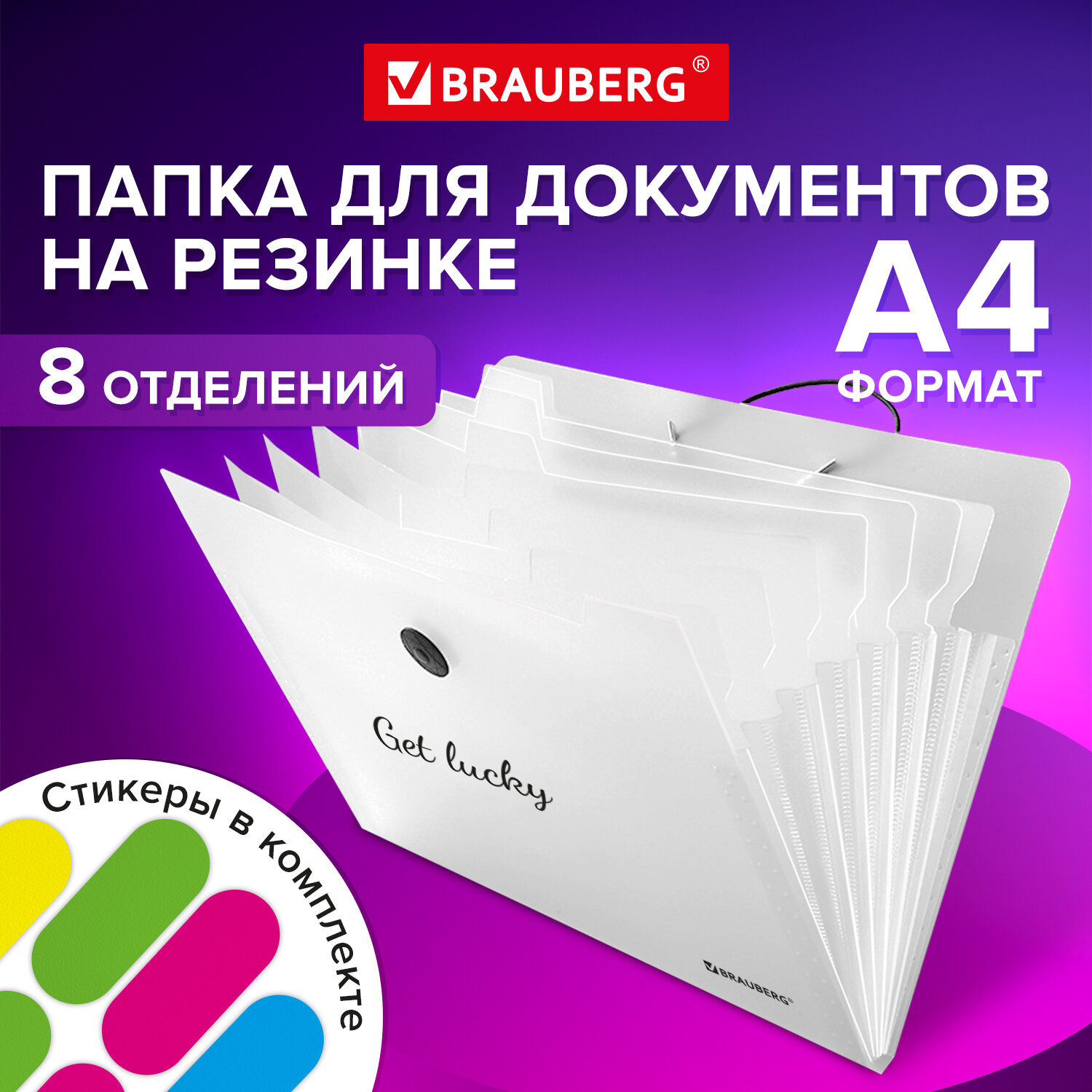 Папка Brauberg для документов А4 на резинке канцелярская 8 отделений купить  по цене 259 ₽ в интернет-магазине Детский мир