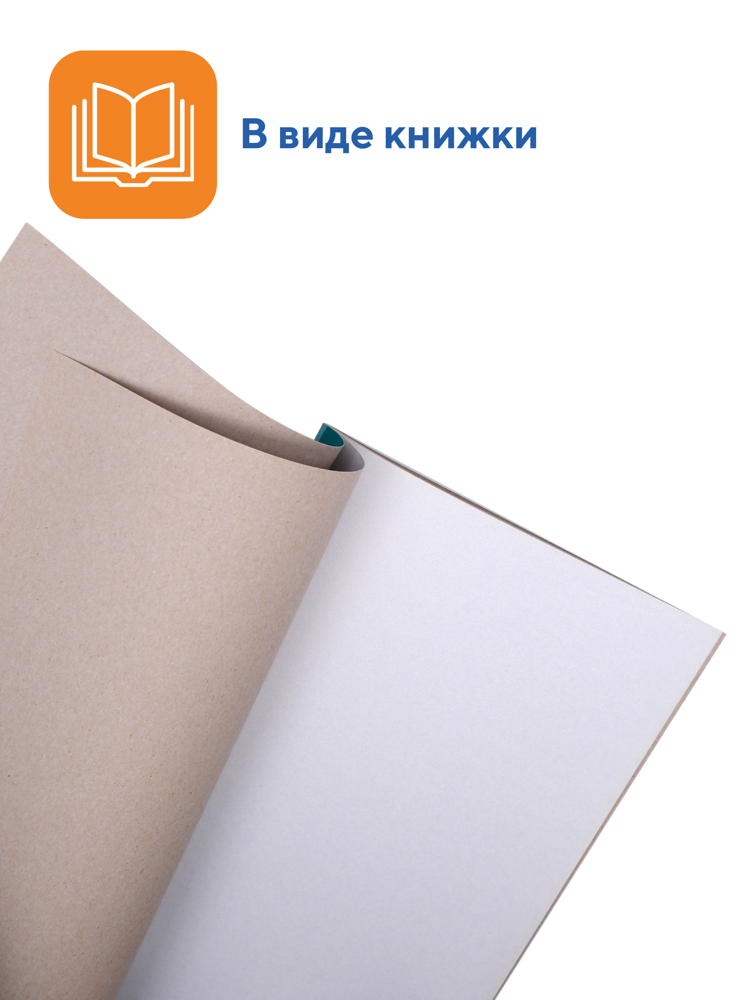 Картон белый А4 мелованный WORKMATE 8 л/книжка набор 5 книжек МИШКА 15-0921 - фото 3