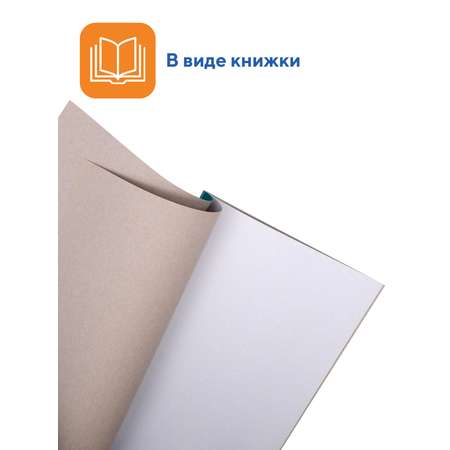 Картон белый А4 мелованный WORKMATE 8 л/книжка набор 5 книжек МИШКА 15-0921