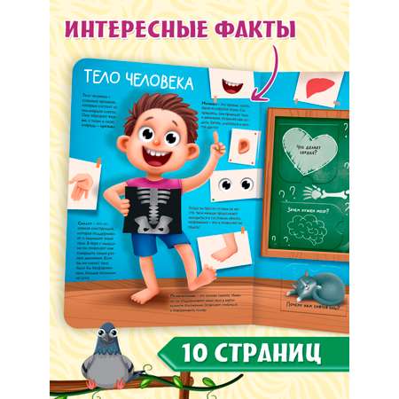 Книга Проф-Пресс картонная с окошками 23.5х31.5 см. Моя первая энциклопедия 10 стр