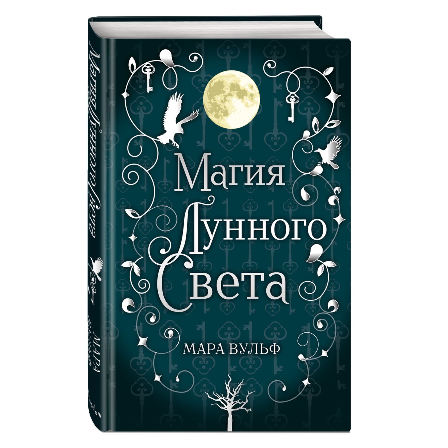 Книга ЭКСМО-ПРЕСС Сага серебряного мира Магия лунного света 1 купить по  цене 120 ₽ в интернет-магазине Детский мир