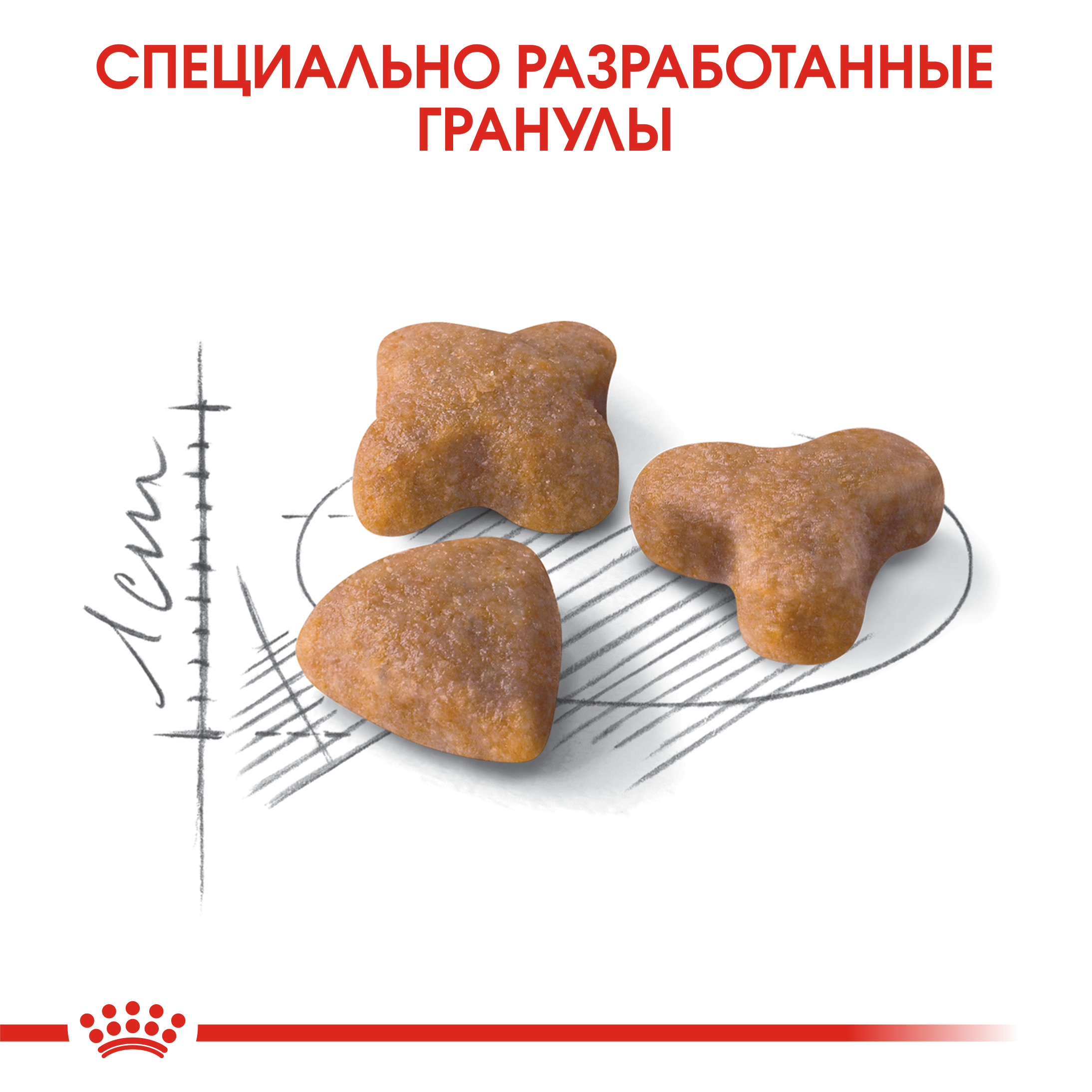 Сухой корм для кошек ROYAL CANIN 0.2 кг (полнорационный) - фото 6