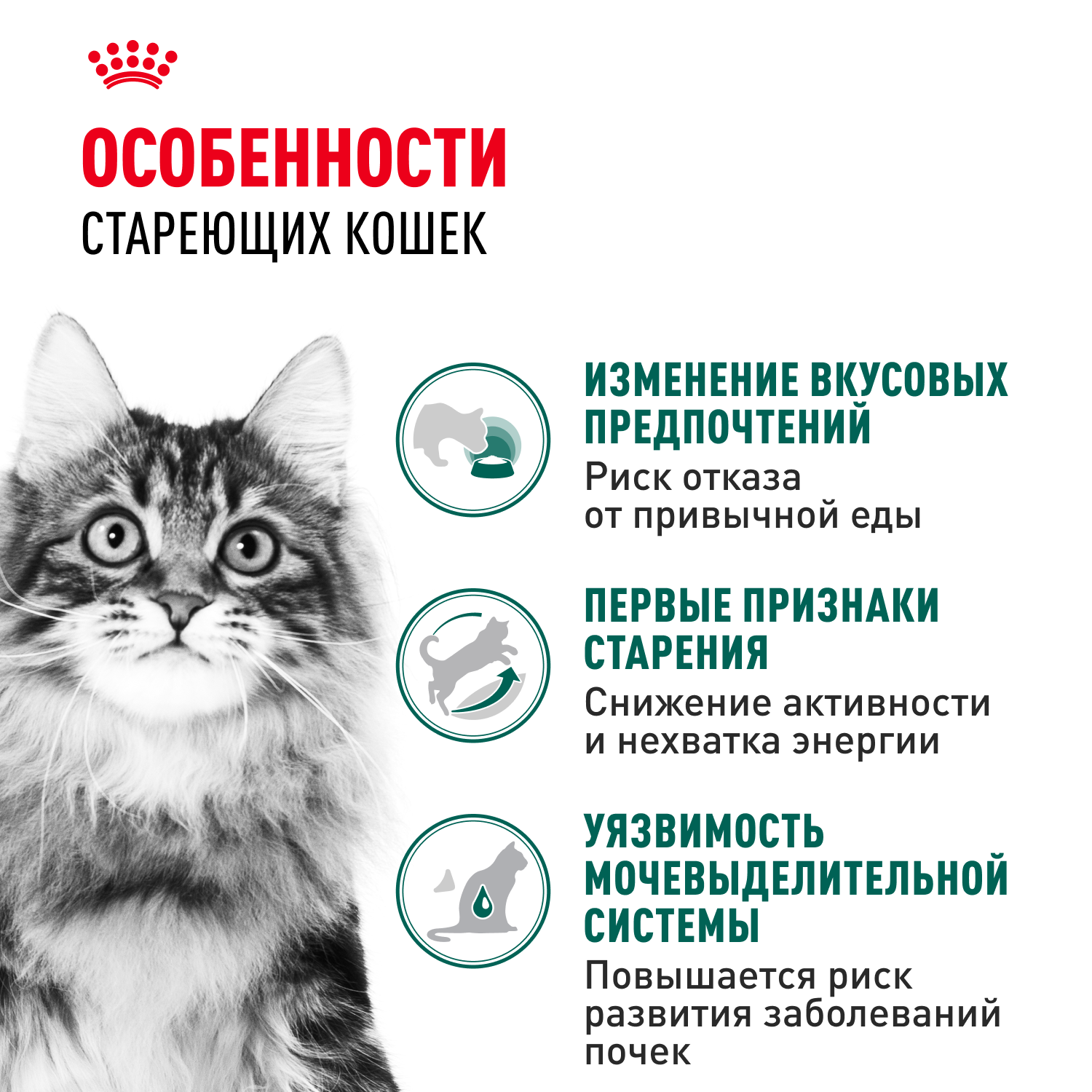 Корм для кошек ROYAL CANIN Instinctive 85г для пожилых 7+ соус пауч - фото 2