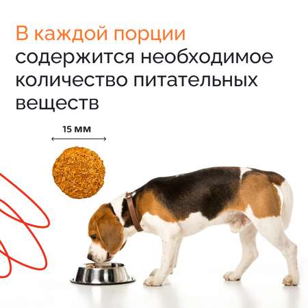 Корм сухой DOGSY с курицей и рисом 3 кг