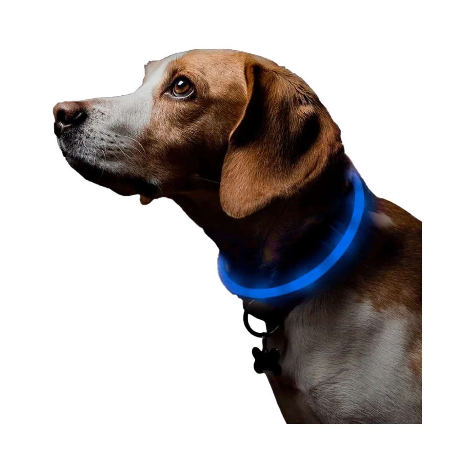 Ошейник для собак ZDK ZooWell со светодиодами синий 40 см - фото 2