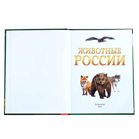 Детская энциклопедия Буква-ленд Животные России